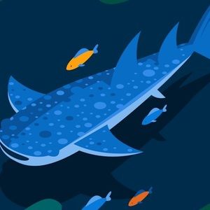 Meet your Posher, Danica